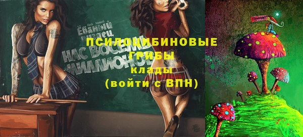 дмт Волосово