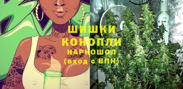 сатива Володарск
