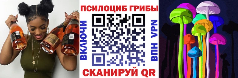 Псилоцибиновые грибы GOLDEN TEACHER  Купить закладки  Котовск 